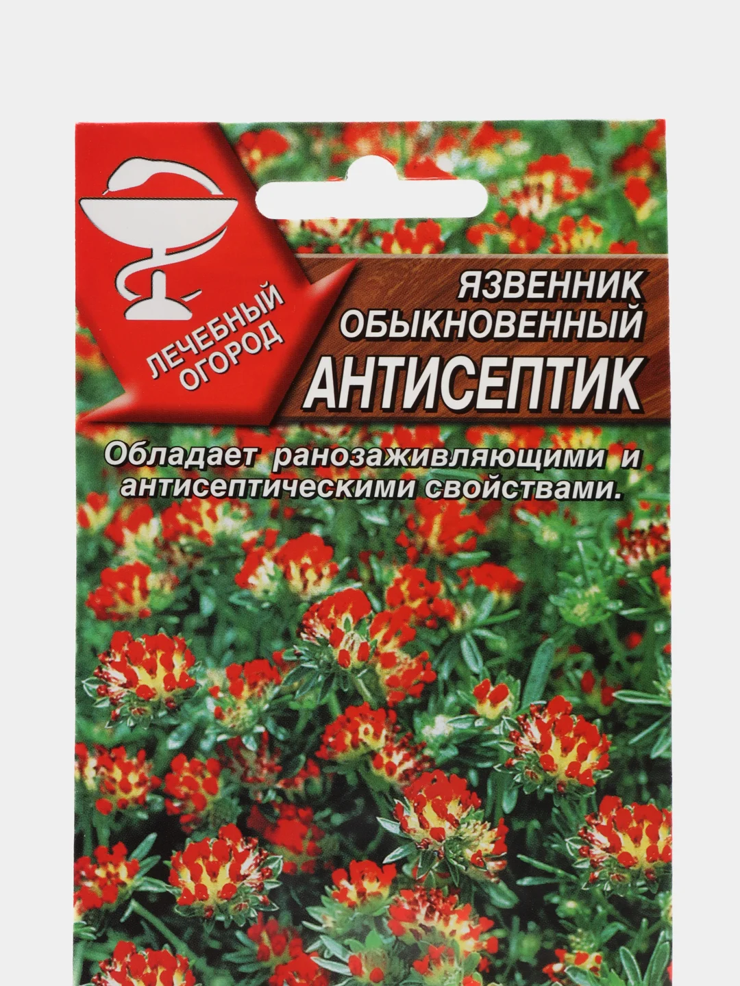 Язвенник Аэлита "Антисептик"