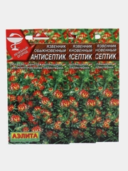 Язвенник Аэлита "Антисептик"