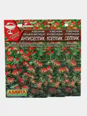 Язвенник Аэлита "Антисептик"