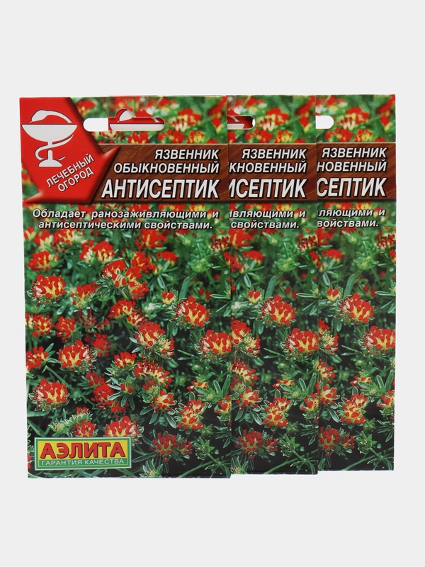 Язвенник Аэлита "Антисептик"