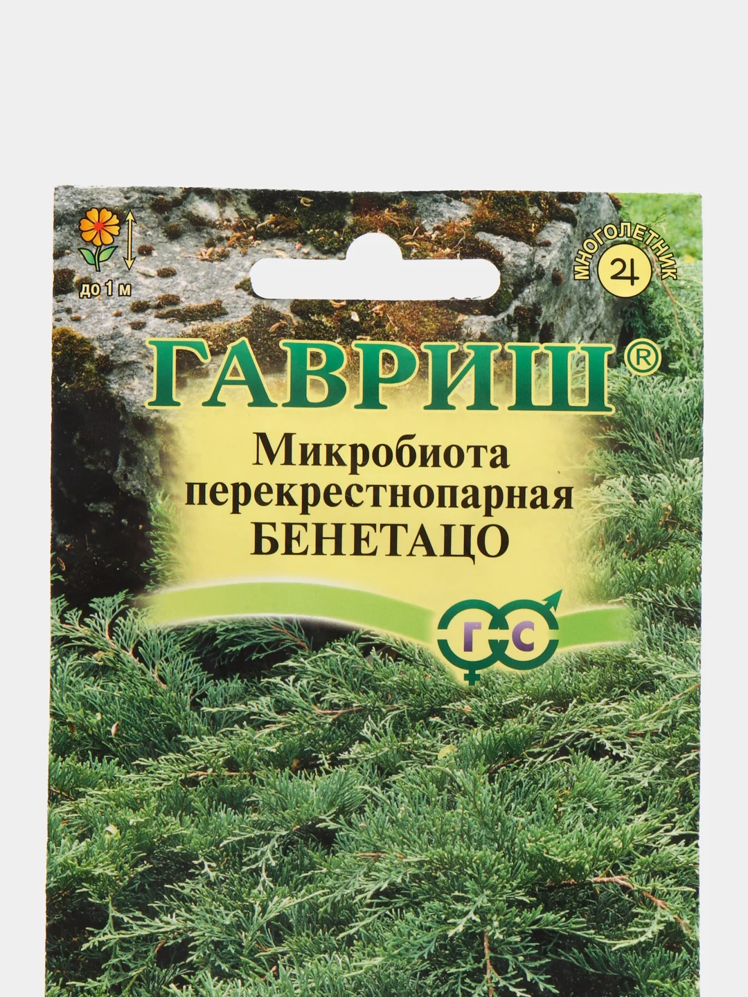 Семена Гавриш "Микробиота Бенетацо", перекрестнопарная, 0,05 г
