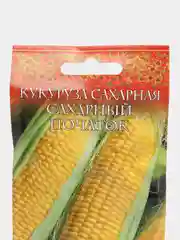Семена Кукуруза "Сахарный початок"