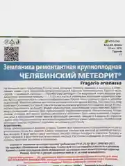 Земляника ремонтантная крупноплодная Челябинский метеорит (семена), 10 штук