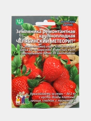 Земляника ремонтантная крупноплодная Челябинский метеорит (семена), 10 штук