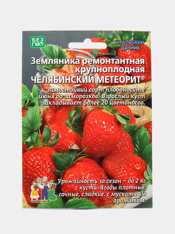 Земляника ремонтантная крупноплодная Челябинский метеорит (семена), 10 штук