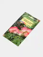 Альбиция Гавриш "Помпадур", 3 штуки