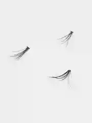 Пучки накладных ресниц False Eyelash 20D