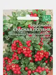 Семена Брусника "Красная поляна", 20 семян, Уральский Дачник