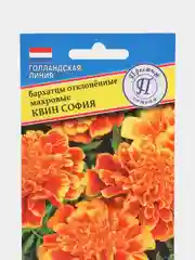 Бархатцы "Квин София махровые", семена, цветы