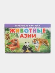 "Животные Азии", обучающие карточки на картоне с познавательным текстом