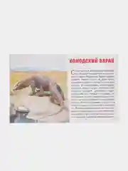 "Животные Азии", обучающие карточки на картоне с познавательным текстом