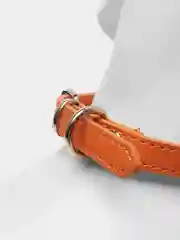 Манго ошейник кожаный для собак и кошек