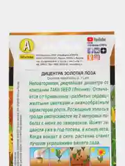 Семена Аэлита "Дицентра Золотая лоза"
