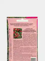 Семена Кизильник "Клюквенная россыпь"