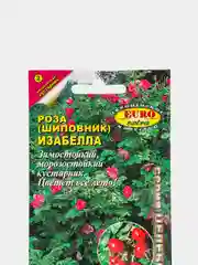 Семена розы (шиповника) "Изабелла"