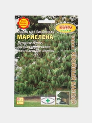 Семена Сосна "Мариелена"