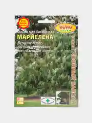 Семена Сосна "Мариелена"