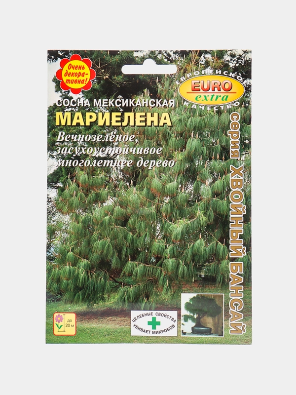 Семена Сосна "Мариелена"