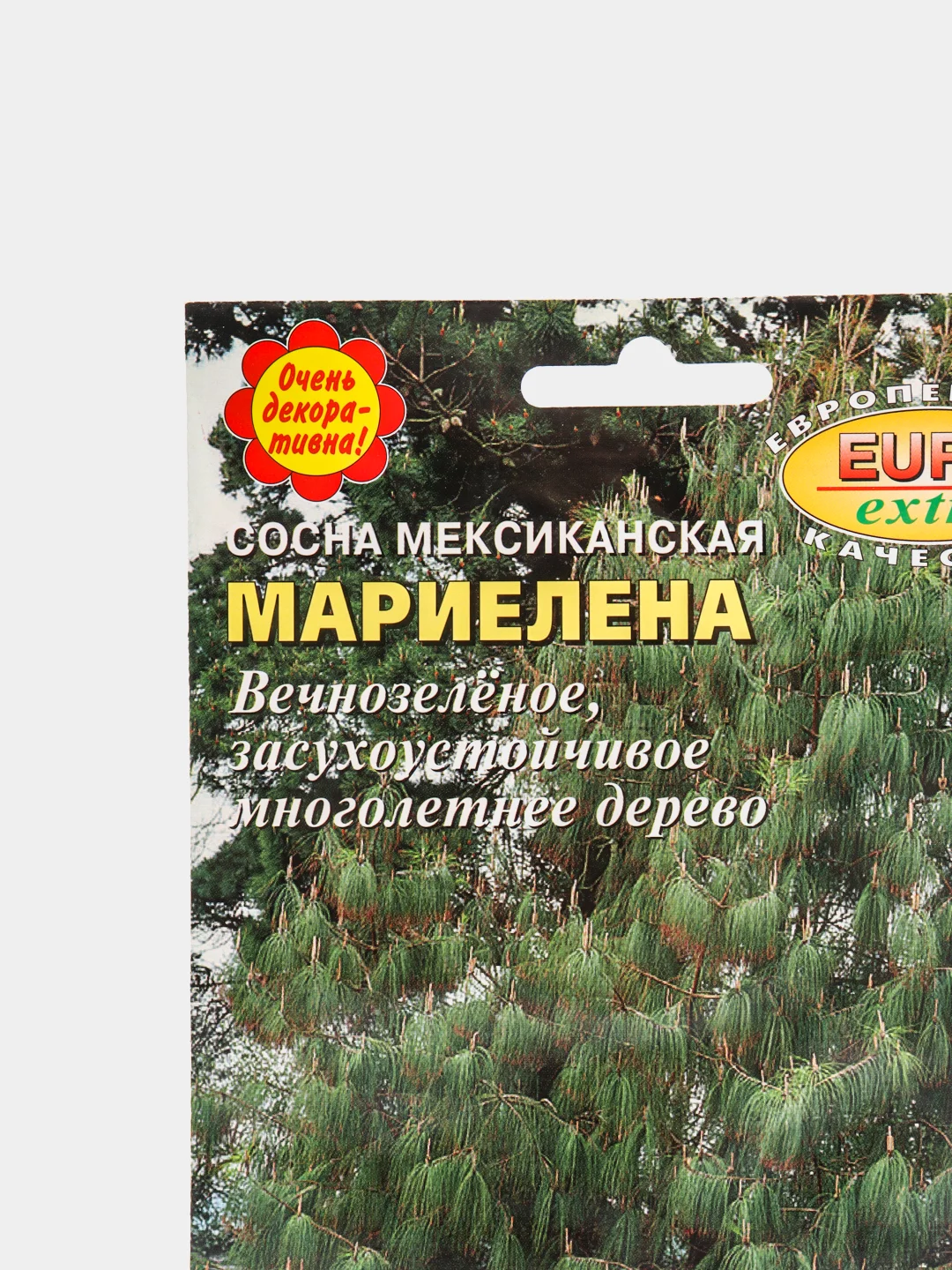 Семена Сосна "Мариелена"