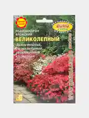Рододендрон Великолепный японский (семена,цветы)