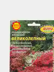 Рододендрон Великолепный японский (семена,цветы)