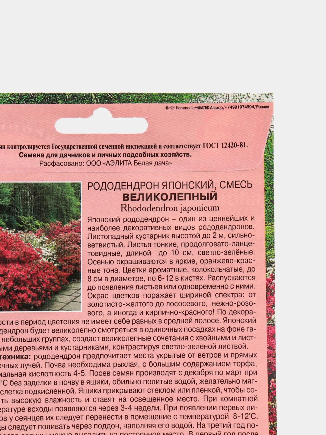 Рододендрон Великолепный японский (семена,цветы)