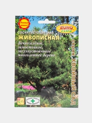 Семена Сосна "Живописная"