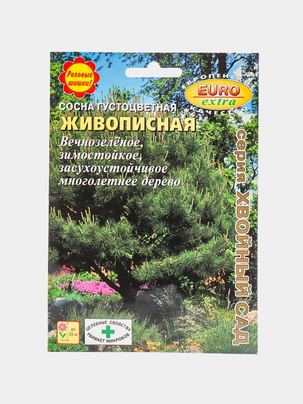 Семена Сосна "Живописная"