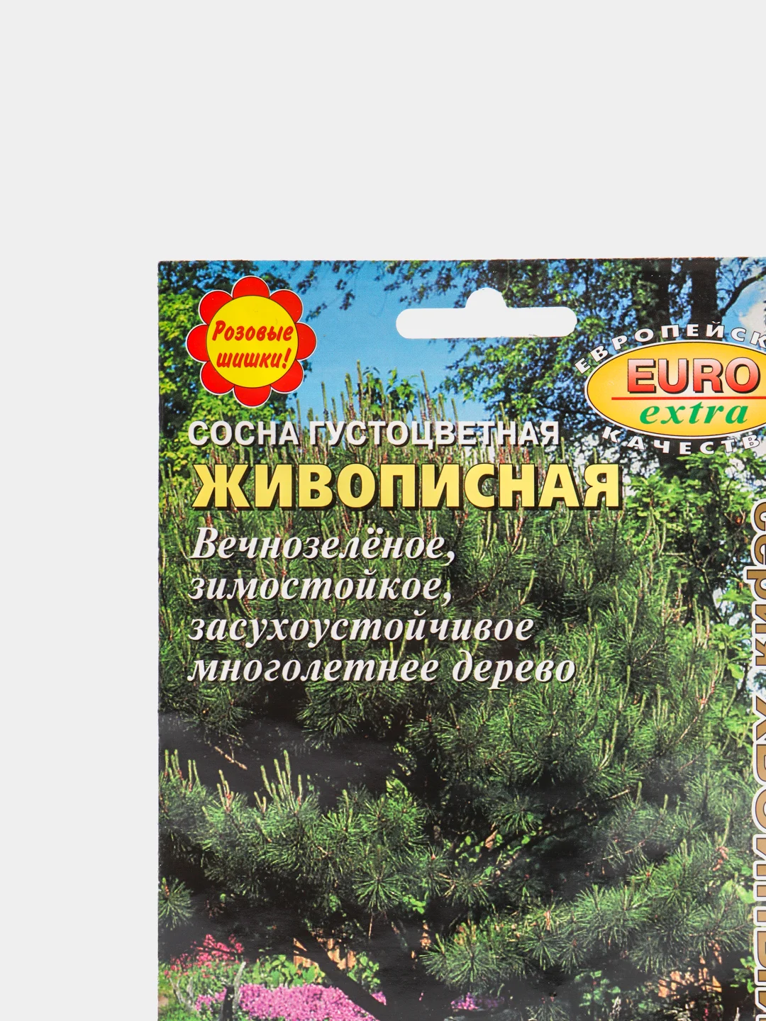 Семена Сосна "Живописная"