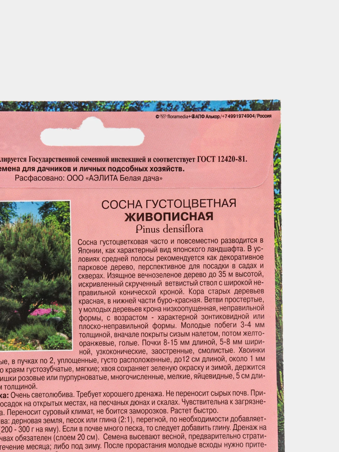 Семена Сосна "Живописная"