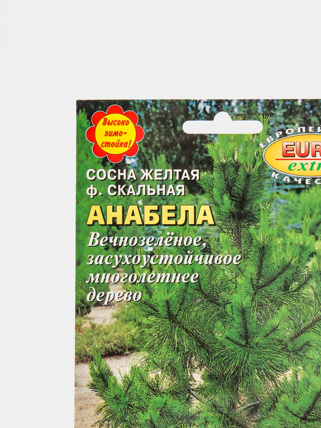 Семена сосны "Анабела"