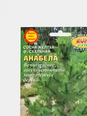 Семена сосны "Анабела"
