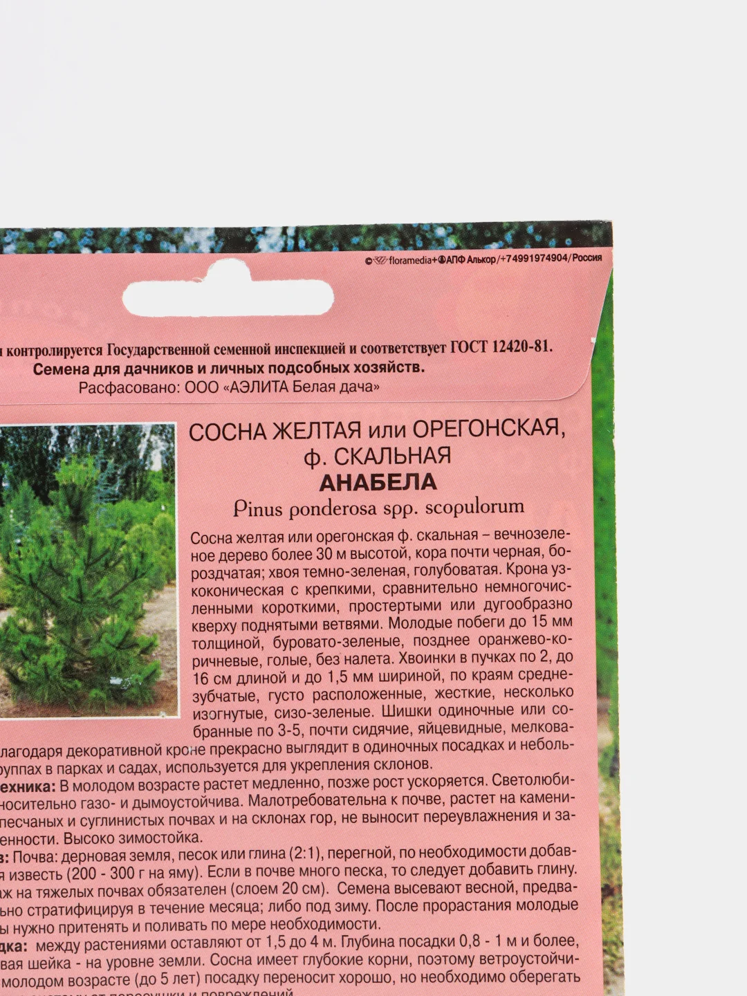 Семена сосны "Анабела"