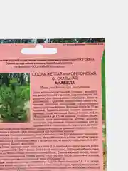 Семена сосны "Анабела"
