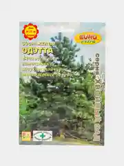 Семена Сосна "Одэтта"