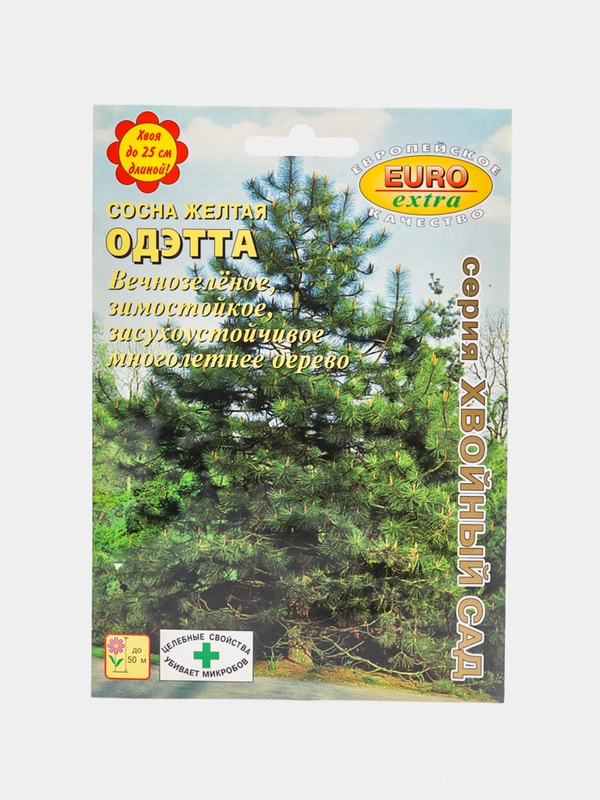 Семена Сосна "Одэтта"