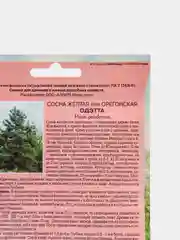 Семена Сосна "Одэтта"