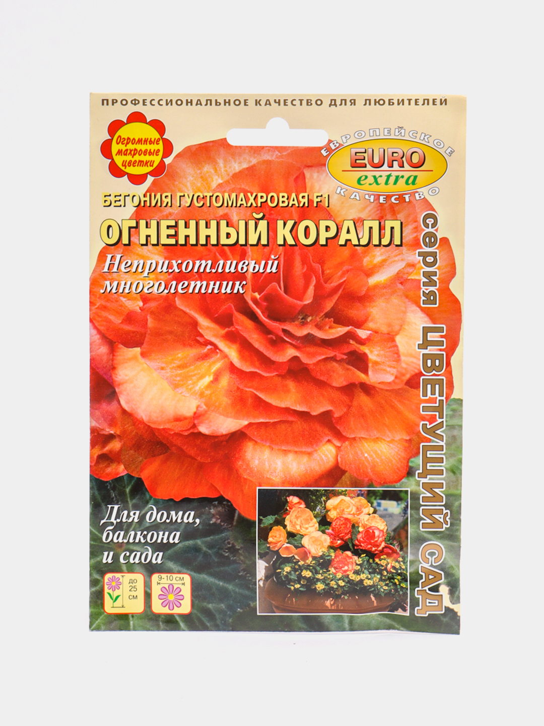 Бегония Огненный коралл (семена, цветы) купить по цене 109 ₽ в  интернет-магазине Магнит Маркет