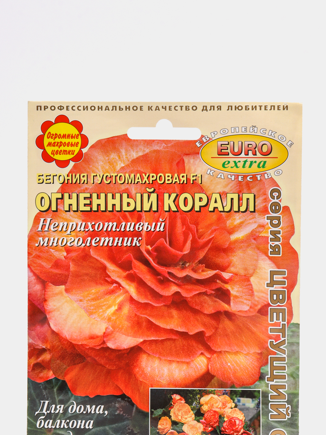 Бегония Огненный коралл (семена, цветы) купить по цене 109 ₽ в  интернет-магазине Магнит Маркет