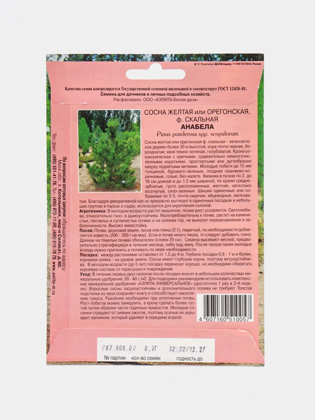 Семена сосны "Анабела"