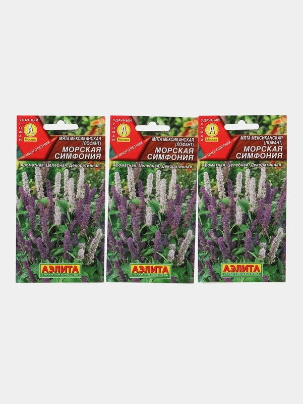 Семена Мята мексиканская "Морская симфония", АЭлита