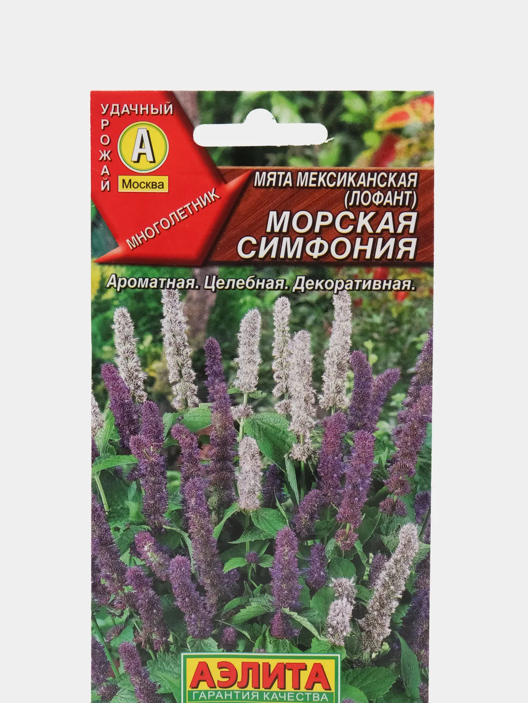 Семена Мята мексиканская "Морская симфония", АЭлита