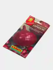Семена Аэлита "Лук репчатый Кармен Мс"