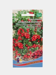 Семена Брусника "Красная поляна", 20 семян, Уральский Дачник