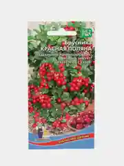 Семена Брусника "Красная поляна", 20 семян, Уральский Дачник