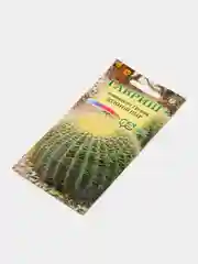 Семена Эхинокактус Грузона "Золотой шар", Гавриш, 5 штук