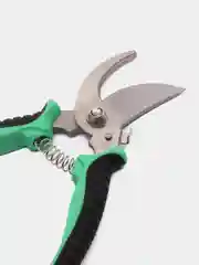 Зеленый секатор садовый