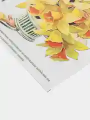 Набор для творчества в технике папертоль. Картина Корзиночка нарциссов. Магия хобби