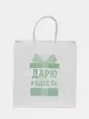 Ледяной пакет подарочный, с приколом, крафт, 22 х 22 х 11 см