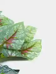 Марсала искусственные цветы. Куст зелени. Искусственные растения для декора